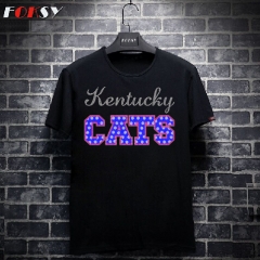 Kentucky Cats Letter Iron on Rhinestone Transfer